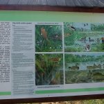 phoca_thumb_m_vlet na mokady 7 Fotogalerie